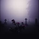 I can’t see Heaven 