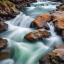 يا عباس جبت الماي