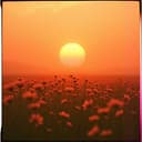 Молитва о Мире и Силе