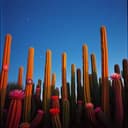 Ich liebe dich Joseph Rossa 1