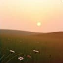 너무아름다운 나의사랑 정희