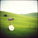Rolling Green Hills