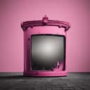 Savannah's Fake Fame