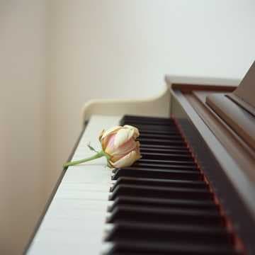 Pretty Little Promises 