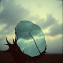 O Vilão que vocês criaram