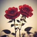 2 Red roses