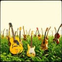 Sozialverband VdK Song 