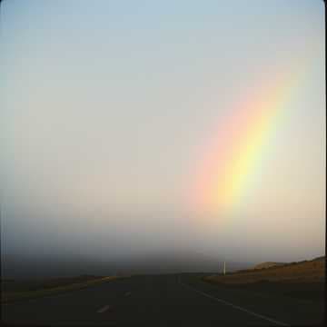 Fading Color 8