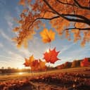 Осінь танцює 8