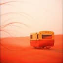 Wild Shadows Over the Campfire