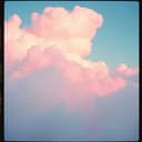 Wspomnienia do zapomnienia 