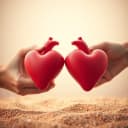 Universul meu corectat