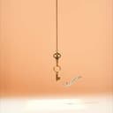 سكينفايت: الدعوة المثالية