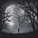 In the quiet of the night 