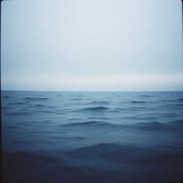 The Vanishing Tide
