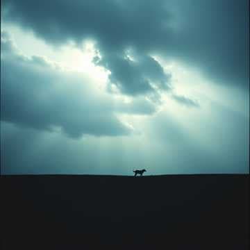 Lost and Searching for You