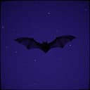 Δρακουλια και νυχτερίδες 