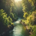 La danza de la vida. Autor: A. A. Mc. V