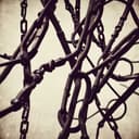 Bloodline Opening Theme