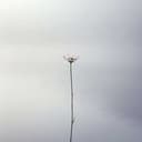 Tremurând de frumusețe 02