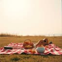 In the good old summer time 