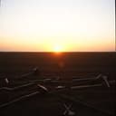 Manhã de Trabalho Duro