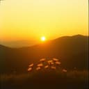 Guten Morgen, Mein Schatz