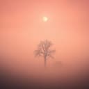 Jorgie tu nous manque