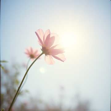 Me Quiero, Me Respeto