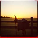 CARLOS MONTOYA SAKKO