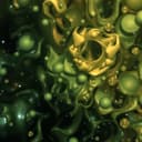 Președintele Călin