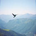 Electric Sahara Nights