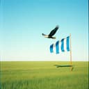 Onze Club - Quick Boys