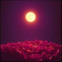 ప్రేమ పేరిట దూరమయ్యానే