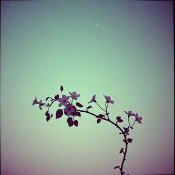 Synchronicity