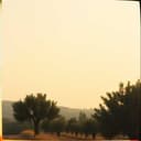 حب بين لبنان وفلسطين