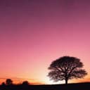 Remember your creator 