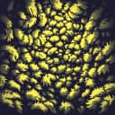 Abgerechnet wird zum Schluss