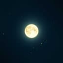 مبروك يا سارة