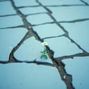 Nos Caminhos da Vida