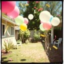 My Aunt Sonya's Half Century Birthday Song 🥳