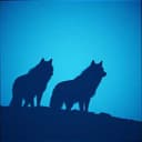 Digital Wolves