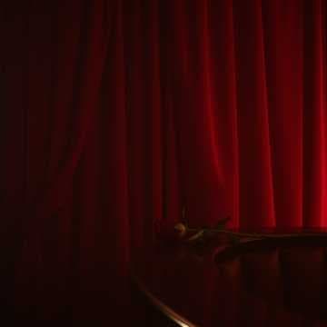 Velvet Whispers