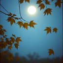 가을밤의 속삭임