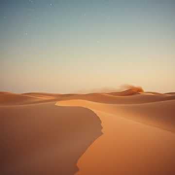 Dans le Vent du Désert