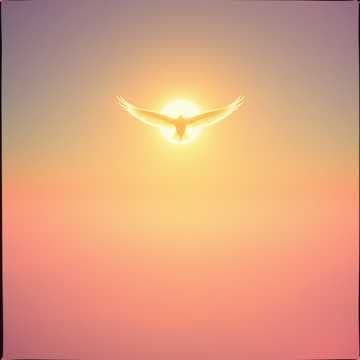 Wings of light