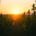 Chor Männer Boppard nostalgic