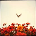 Traitor's Flight to Love