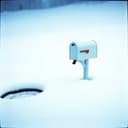 Keith Trenholme's Swing