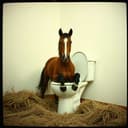 Galloping Love Blues